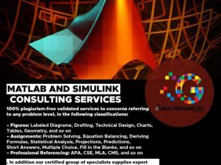 MATLAB Python and Simulink Simulations Experts Consulting Services 247